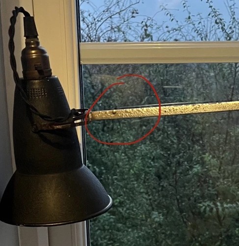 Anglepoise step 1227 - anglepoise, 3